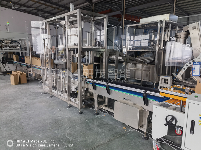 智能兩軸機(jī)器人裝箱機(jī)——定制化適用于食品、醫(yī)藥、電子行業(yè)自動(dòng)化生產(chǎn)線廠家