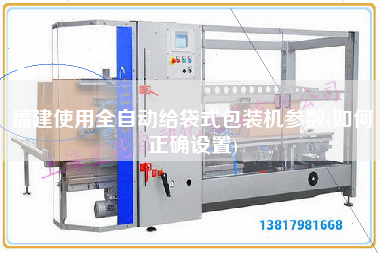 福建使用全自動給袋式包裝機參數(如何正確設置)