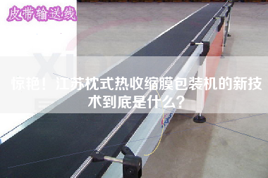 驚艷！江蘇枕式熱收縮膜包裝機(jī)的新技術(shù)到底是什么？
