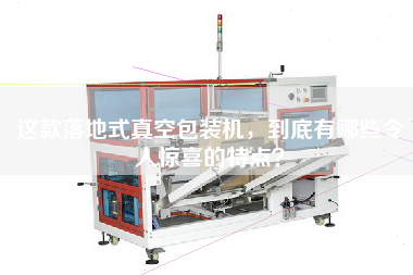 這款落地式真空包裝機，到底有哪些令人驚喜的特點？
