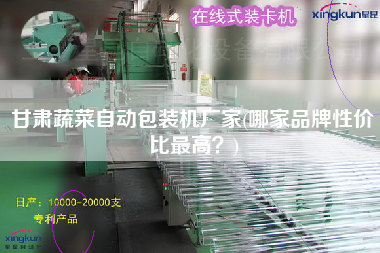 甘肅蔬菜自動包裝機廠家(哪家品牌性價比z高？)