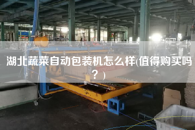 湖北蔬菜自動(dòng)包裝機(jī)怎么樣(值得X嗎？)