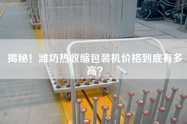 揭秘！濰坊熱收縮包裝機價格到底有多高？