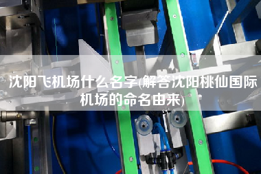 沈陽飛機(jī)場什么名字(解答沈陽桃仙國際機(jī)場的命名由來)