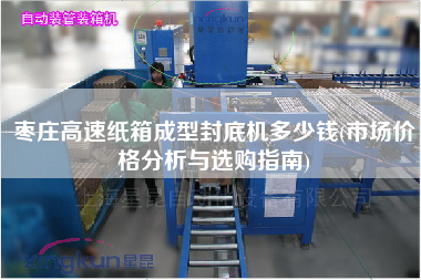 棗莊高速紙箱成型封底機多少錢(市場價格分析與選購指南)