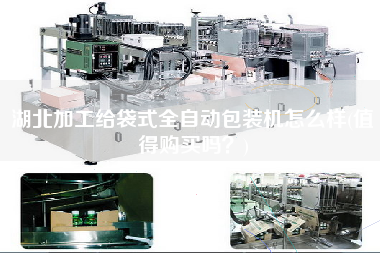 湖北加工給袋式全自動(dòng)包裝機(jī)怎么樣(值得X嗎？)