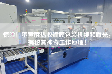 驚險(xiǎn)！蛋黃酥熱收縮膜包裝機(jī)視頻曝光，揭秘其神奇工作原理！