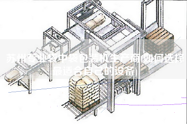 蘇州專(zhuān)業(yè)袋中袋包裝機(jī)生產(chǎn)商(如何選擇z適合自己的設(shè)備)