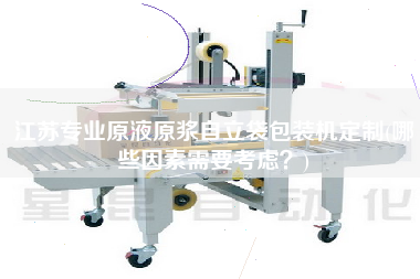 江蘇專業原液原漿自立袋包裝機定制(哪些因素需要考慮？)