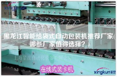 黑龍江智能給袋式自動包裝機(jī)推薦廠家(哪些廠家值得選擇？)