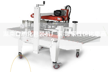 湖南自動化包裝機廠家(哪家性價比z高？)