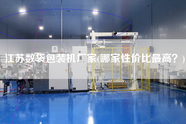 江蘇數(shù)袋包裝機廠家(哪家性價比z高？)
