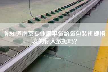你知道南京專業扁平袋給袋包裝機規格表的驚人數據嗎？
