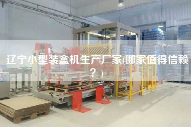 遼寧小型裝盒機生產(chǎn)廠家(哪家值得信賴？)