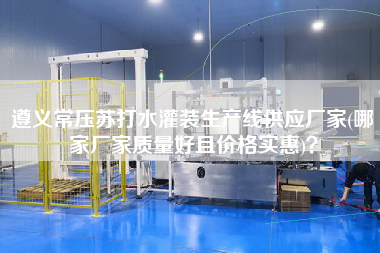 遵義常壓蘇打水灌裝生產(chǎn)線供應廠家(哪家廠家質(zhì)量好且價格實惠)？
