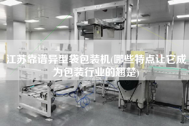 江蘇靠譜異型袋包裝機(哪些特點讓它成為包裝行業的翹楚)
