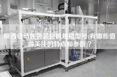 陜西自動噸袋裝包機規格型號(有哪些值得關注的特點和參數)？