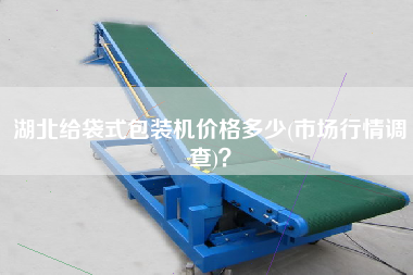湖北給袋式包裝機價格多少(市場行情調查)？
