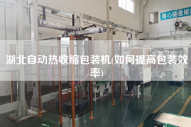 湖北自動(dòng)熱收縮包裝機(jī)(如何提高包裝效率)