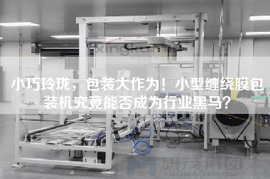 X，包裝大作為！小型纏繞膜包裝機(jī)究竟能否成為行業(yè)黑馬？