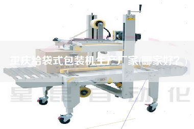 重慶給袋式包裝機(jī)生產(chǎn)廠家(哪家好？)