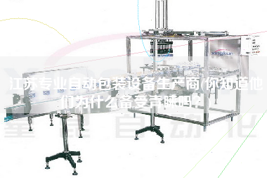 江蘇專業自動包裝設備生產商(你知道他們為什么備受青睞嗎？)
