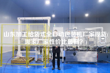 山東加工給袋式全自動(dòng)包裝機(jī)廠(chǎng)家現(xiàn)貨(哪家廠(chǎng)家性?xún)r(jià)比z高？)
