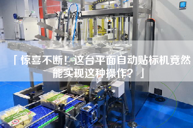 「驚喜不斷！這臺平面自動貼標機竟然能實現這種操作？」