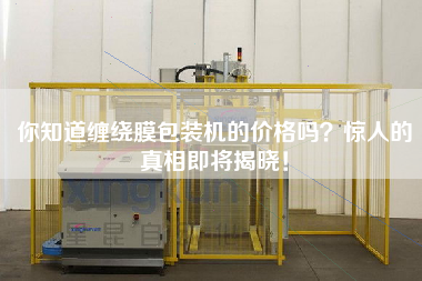 你知道纏繞膜包裝機的價格嗎？驚人的真相即將揭曉！