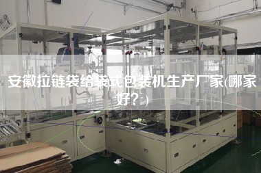 安徽拉鏈袋給袋式包裝機生產廠家(哪家好？)