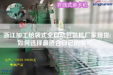浙江加工給袋式全自動包裝機廠家現貨(如何選擇z適合自己的型號)。