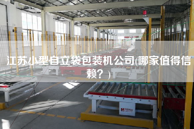 江蘇小型自立袋包裝機公司(哪家值得信賴？)