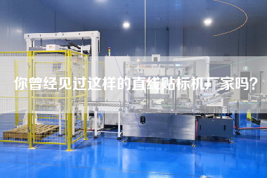 你曾經見過這樣的直線貼標機廠家嗎？