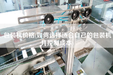 包裝機價格(如何選擇適合自己的包裝機并控制成本)