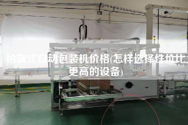 給袋式自動包裝機價格(怎樣選擇性價比z高的設(shè)備)