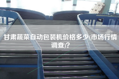 甘肅蔬菜自動(dòng)包裝機(jī)價(jià)格多少(市場(chǎng)行情調(diào)查)？