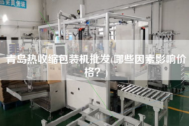 青島熱收縮包裝機批發(哪些因素影響價格？)