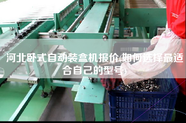 河北臥式自動裝盒機報價(如何選擇z適合自己的型號)