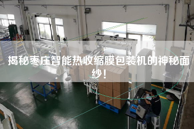 揭秘棗莊智能熱收縮膜包裝機的神秘面紗！