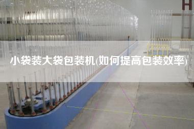 小袋裝大袋包裝機(如何提高包裝效率)