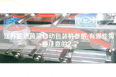 江蘇品質(zhì)蔬菜自動(dòng)包裝機(jī)參數(shù)(有哪些需要注意的？)