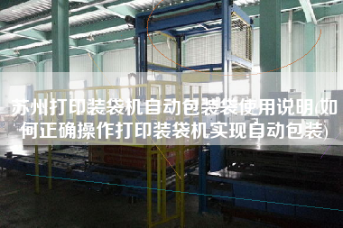 蘇州打印裝袋機自動包裝袋使用說明(如何正確操作打印裝袋機實現自動包裝)